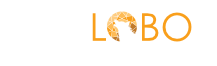 Pedro Lobo Academy